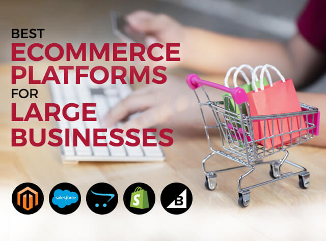 Best eCommerce Platforms for Large Businesses