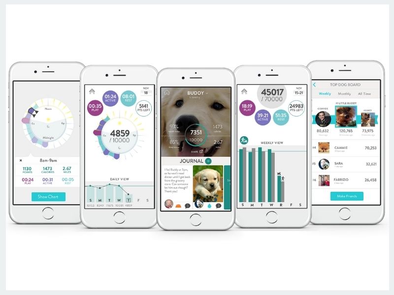 Wearable Technologies For Pet Monitoring & Activity Tracking