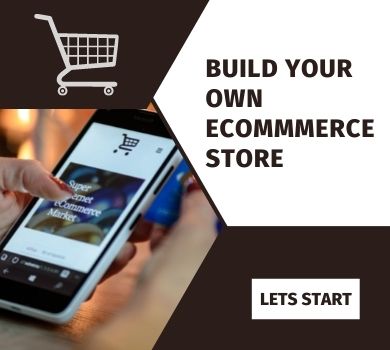 Hire ecommerce developers