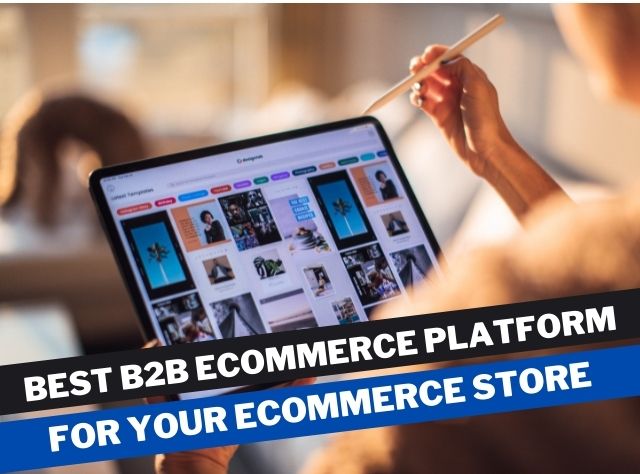 Best B2B eCommerce Platform For your eCommerce store