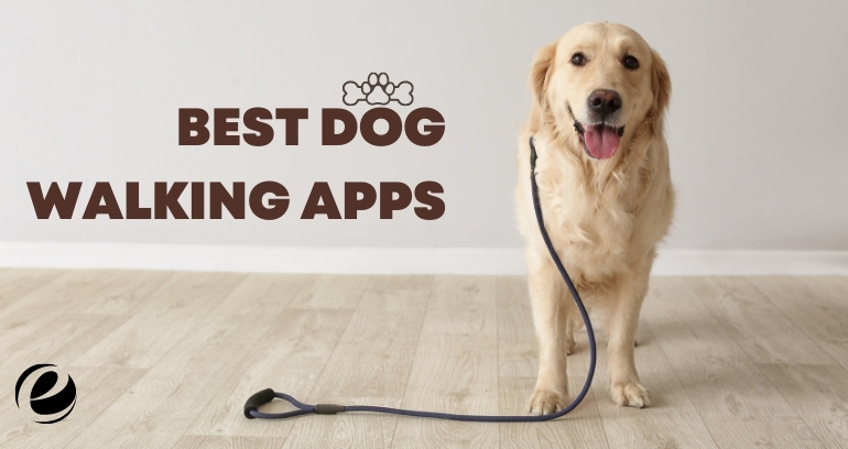 Best Dog Walking App For Android & iOS