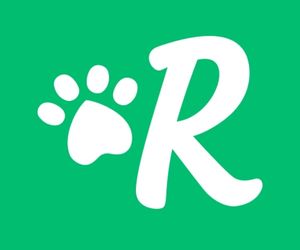 Rover Dog Walking App