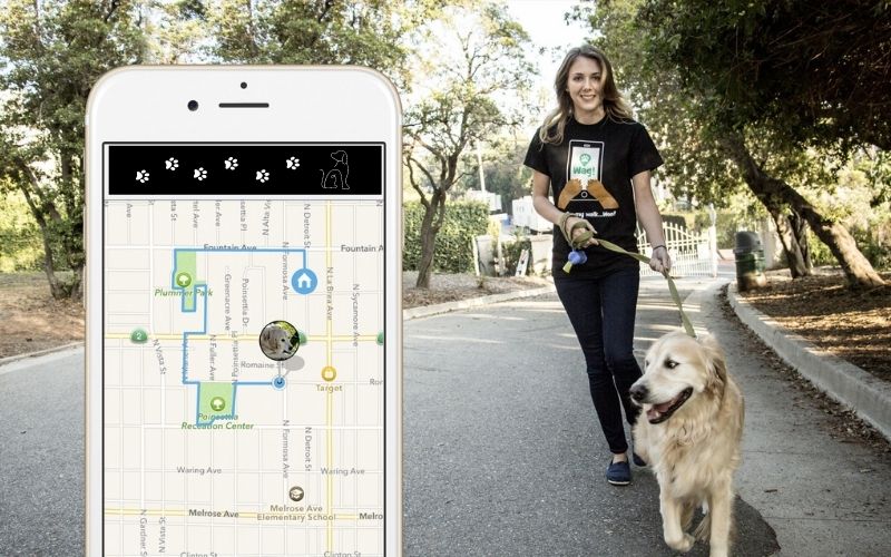 What Is Dog Walking App