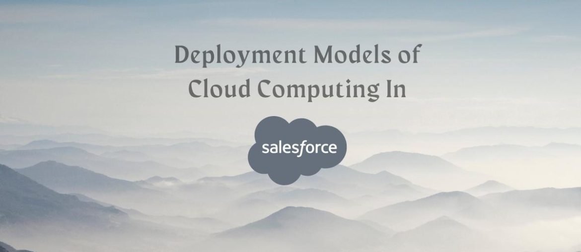 Deployment Models of Cloud Computing In Salesforce