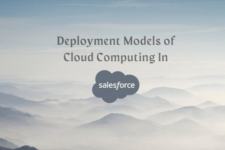 Deployment Models of Cloud Computing In Salesforce