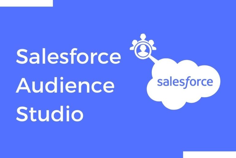 Salesforce Audience Studio