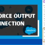 Salesforce Output Connection