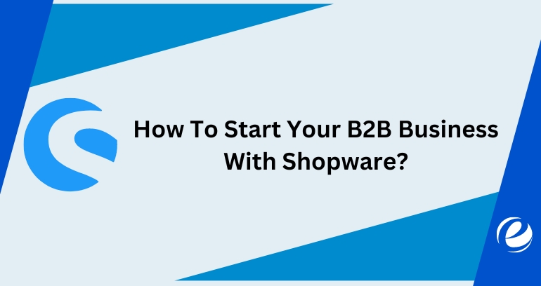 How To Start Your B2B Business With Shopware?
