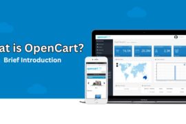 What is OpenCart?